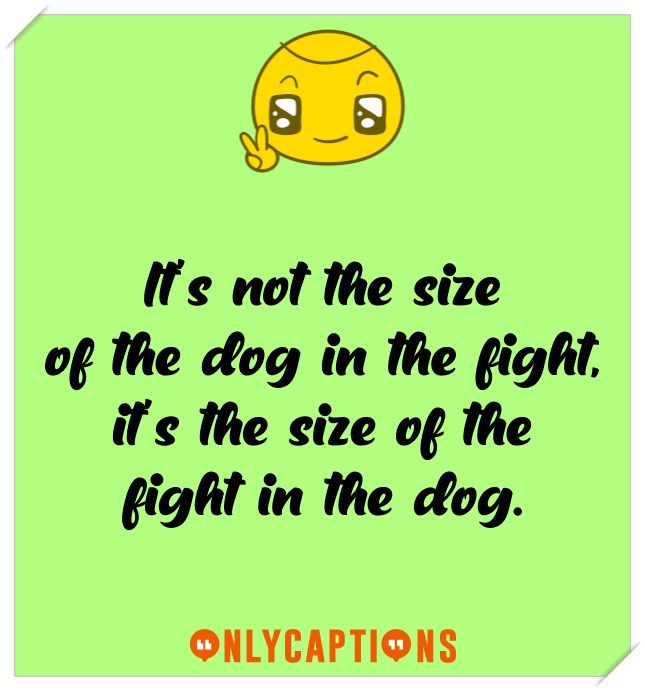 Brave Quotes For Instagram Brave Quotes For Instagram (2021)