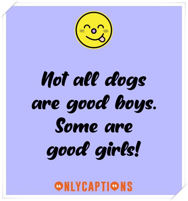Clever Dog Captions For Instagram Clever Dog Captions For Instagram (2021)