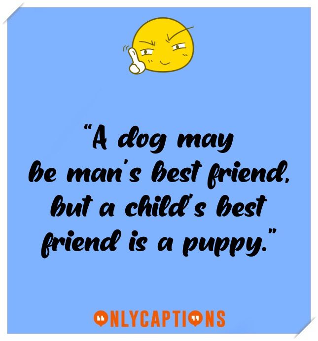 Dog Birthday Captions For Instagram Dog Birthday Captions For Instagram (2021)