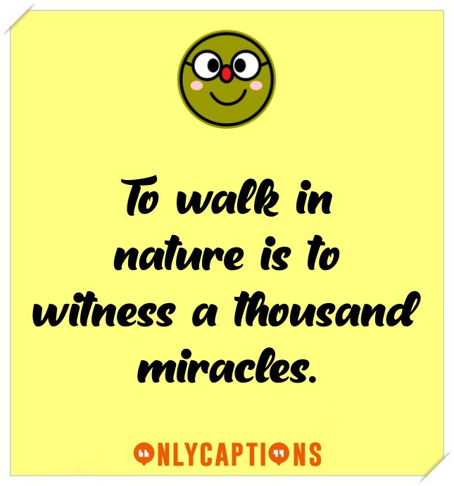 Best Nature Captions For Instagram Best Nature Captions For Instagram (2021)