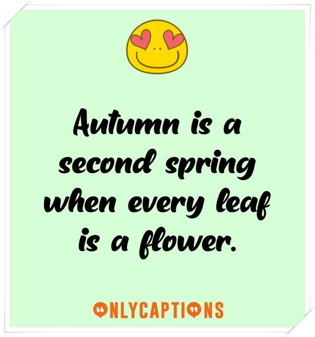 Cute Nature Captions For Instagram Cute Nature Captions For Instagram (2021)