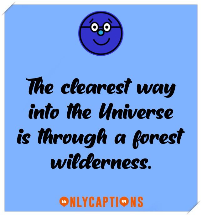 Best Nature Captions For Instagram Best Nature Captions For Instagram