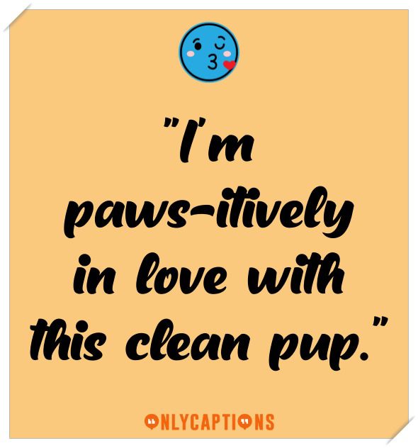Funny Dog Bath Captions For Instagram 2021