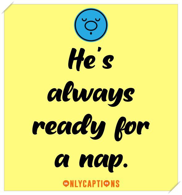 Lazy Dog Instagram Captions For Instagram (2021)