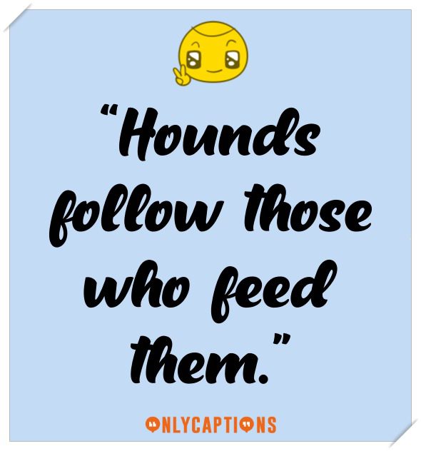 Witty Dog Captions For Instagram (2021)