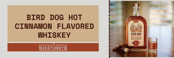 Bird Dog Hot Cinnamon Flavored Whiskey - Best Cinnamon Whiskey Brands of 2023