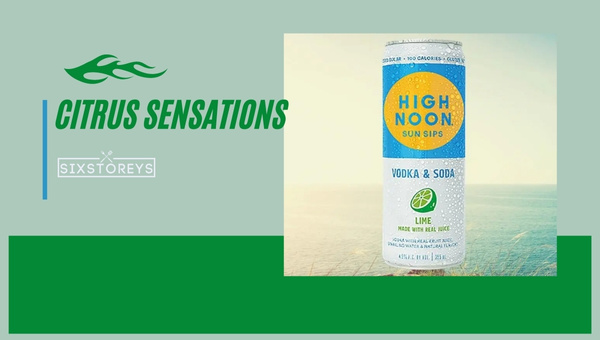 Best Highnoon Citrus Sensations (2023): Tangy and Refreshing for Warm Days