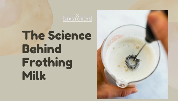 The Science Behind Frothing Milk