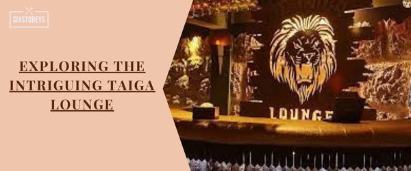 Taiga Lounge - Bars in Brandon, Florida