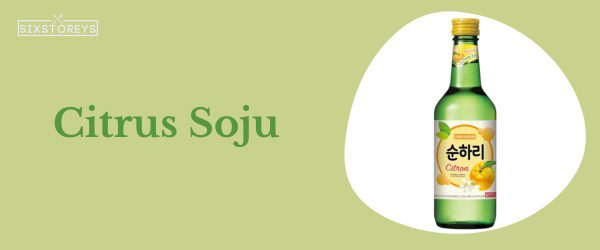 Citrus Soju - Best Soju Flavor