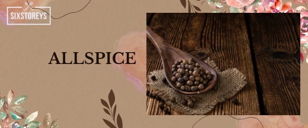 Allspice - Best Baking Spices