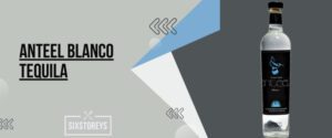 26 Best Tequilas For Shots Trendiest Picks Of 2025 Anteel Blanco Tequila 300x125
