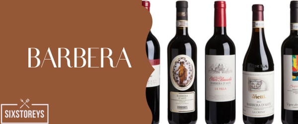 Barbera - Best Red Wine for Diabetics To Drink in 2023