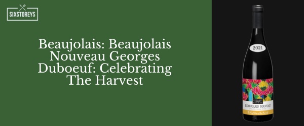 Beaujolais Nouveau Georges Duboeuf - Best Red Wines For Casual Drinking