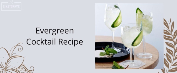 Evergreen Cocktail Recipe - Best Creme De Menthe Cocktail
