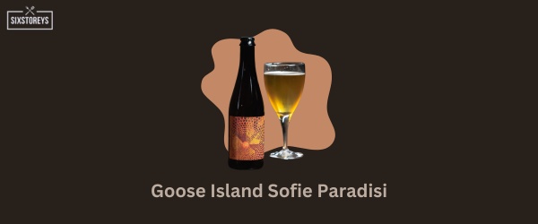 Goose Island Sofie Paradisi - Best Grapefruit Beer