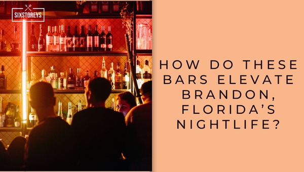 How Do These Bars Elevate Brandon, Florida’s Nightlife?