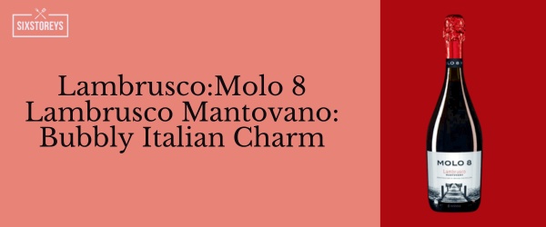 Molo 8 Lambrusco Mantovano -  Best Red Wines For Casual Drinking