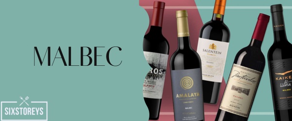 Malbec - Best Red Wine for Diabetics To Drink in 2023