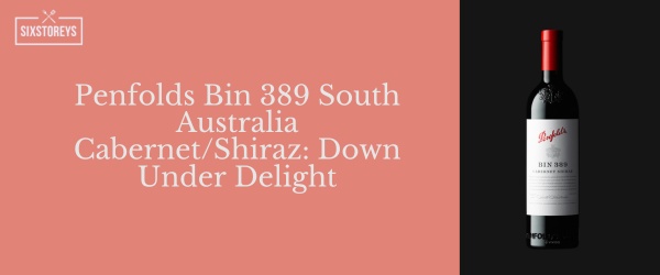 Penfolds Bin 389 South Australia Cabernet/Shiraz -  Best Red Wines For Casual Drinking