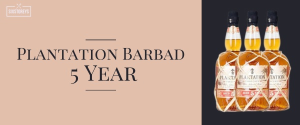 Plantation Barbados 5 Year - Best Rums For Cocktails