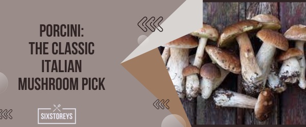 Porcini The Classic Italian Mushroom Pick