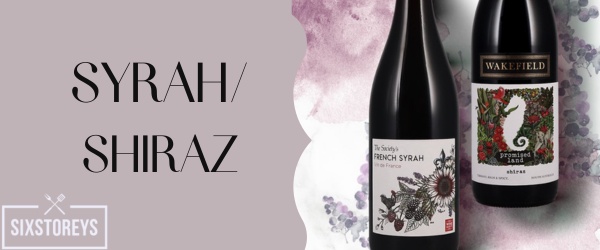 Syrah/Shiraz - Best Red Wine for Diabetics To Drink in 2023