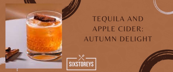 Tequila and Apple Cider - What to Mix With Tequila to Drink in 2023