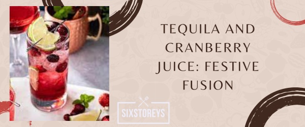 Tequila and Cranberry Juice - What to Mix With Tequila to Drink in 2023