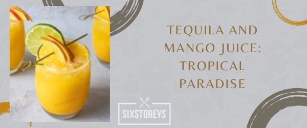 Tequila and Mango Juice - What to Mix With Tequila to Drink in 2023