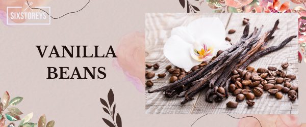 Vanilla Beans