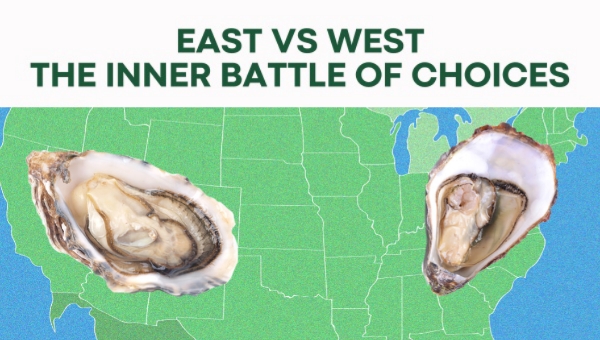 East Coast vs West Coast – The Inner Battle of Choices