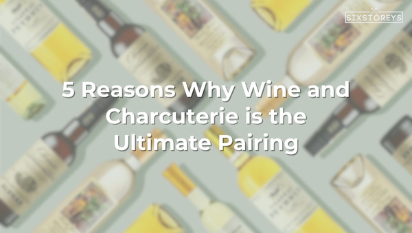 5 Reasons Why Wine and Charcuterie is the Ultimate Pairing in 2024