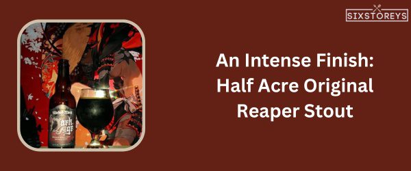 Half Acre Original Reaper Stout - Best Beer For Beer Cheese in 2025