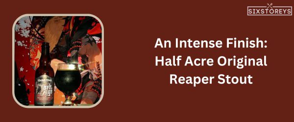 Half Acre Original Reaper Stout - Best Beer For Beer Cheese in 2024