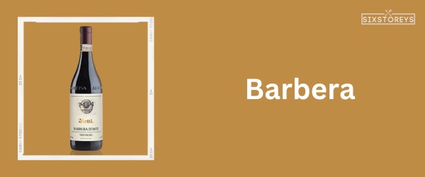 Barbera - Best Wine With Lasagna