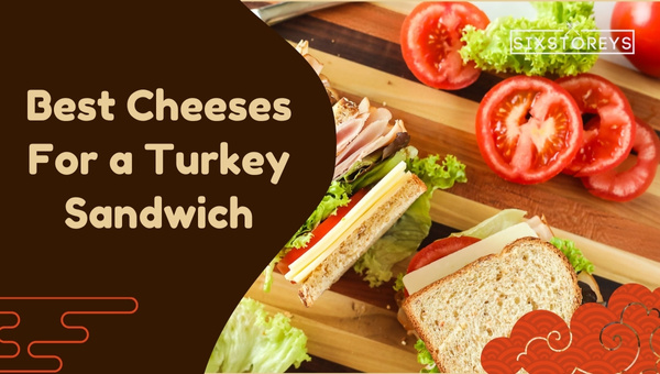 Best Cheeses For a Turkey Sandwich in 2024