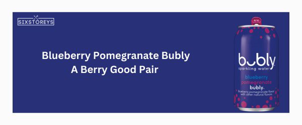 Blueberry Pomegranate - Best Bubly Flavor