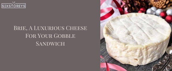 Brie - Best Cheese For a Turkey Sandwich
