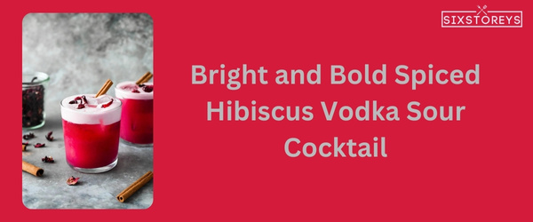 Spiced Hibiscus Vodka Sour Cocktail - Winter Vodka Cocktail