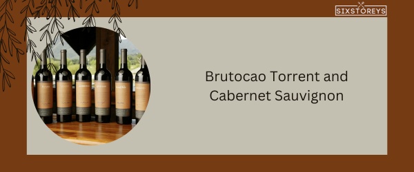 Brutocao Torrent and Cabernet Sauvignon - Best Red Blend Wine in 2024