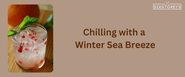 Winter Sea Breeze - Winter Vodka Cocktail