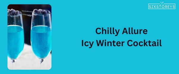 Icy Winter Cocktail - Winter Vodka Cocktail