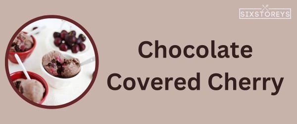 Chocolate-Covered Cherry - Best Snow Cone Flavor