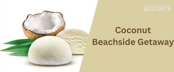 Coconut - Best Mochi Ice Cream Flavor