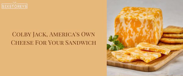 Colby Jack - Best Cheese For a Turkey Sandwich