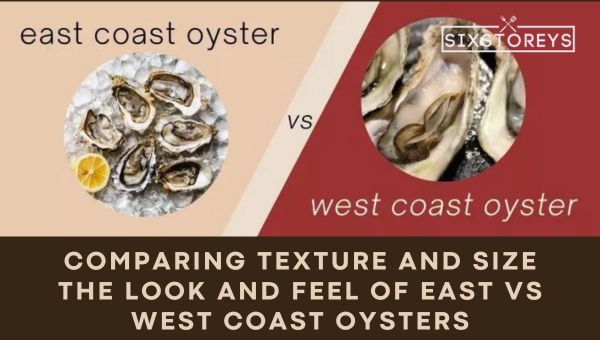 Comparing Texture and Size – The Look and Feel of East vs West Coast Oysters