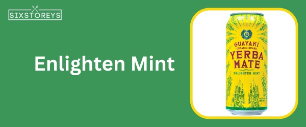 Enlighten Mint - Best Yerba Mate Flavor