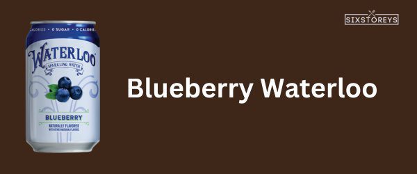 Blueberry - Best Waterloo Flavor