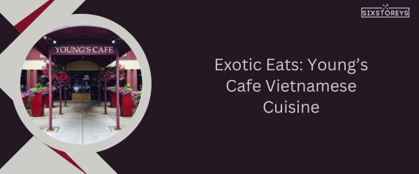 Young’s Cafe Vietnamese Cuisine - Best Restaurant in Fort Collins